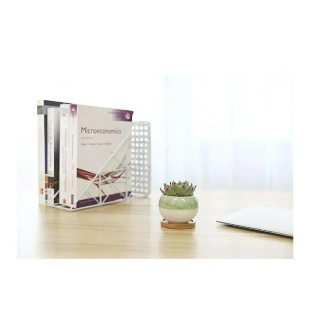 T4U Suculent Cactus Pots - Picture 3 of 4